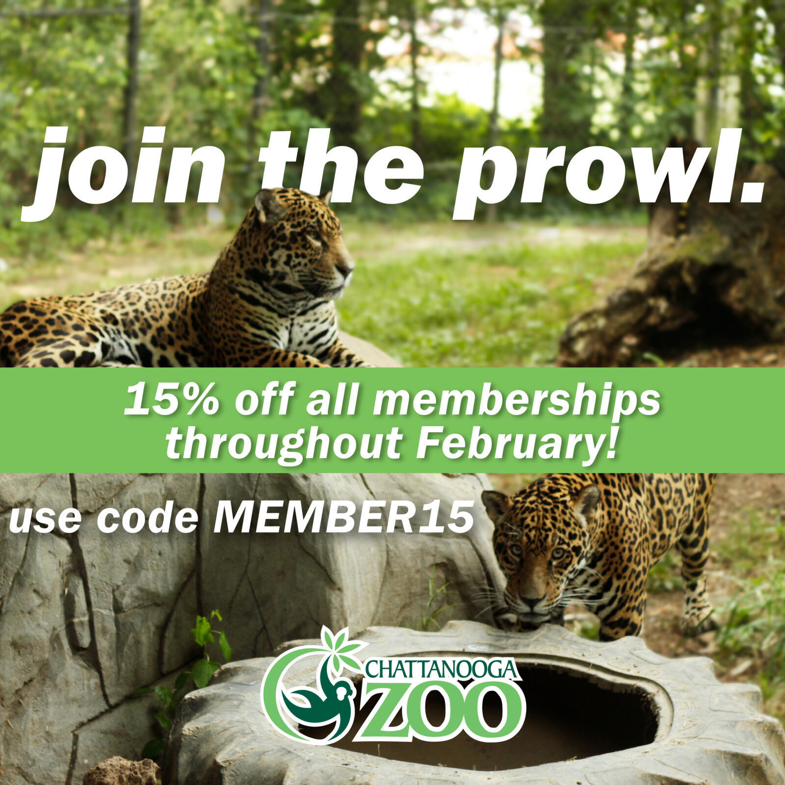 We're offering 15% off memberships in February