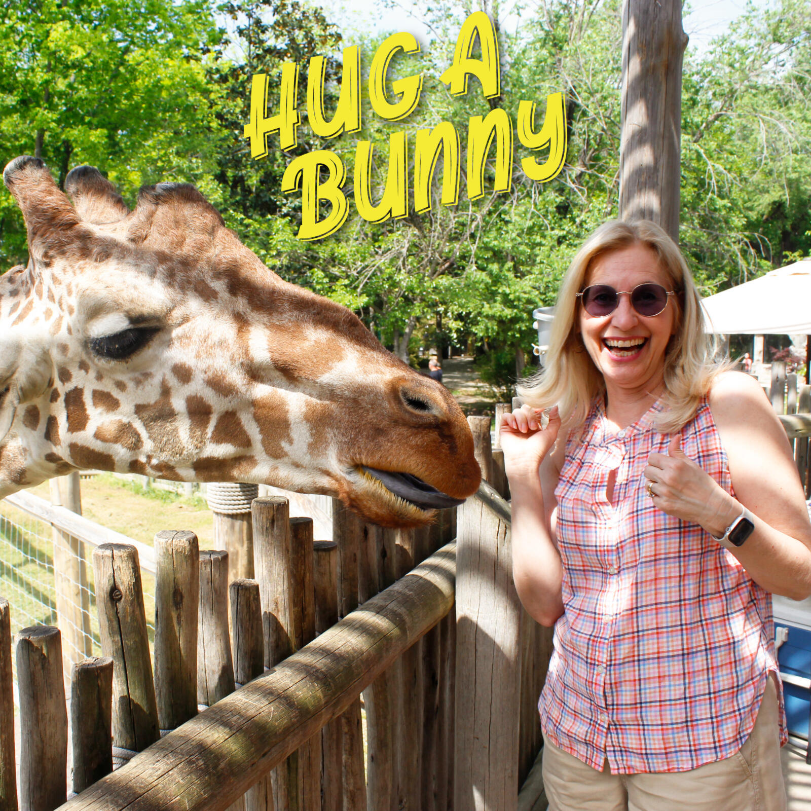 Hug a Bunny tickets are on sale!