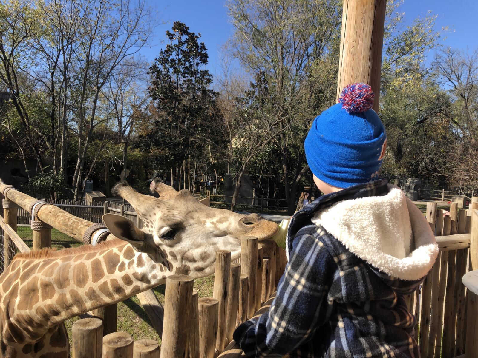 Camps Chattanooga Zoo
