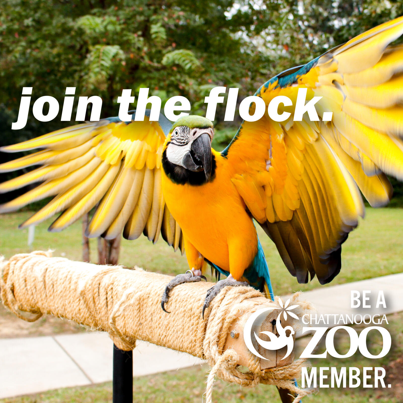 We're offering 15% off memberships in February