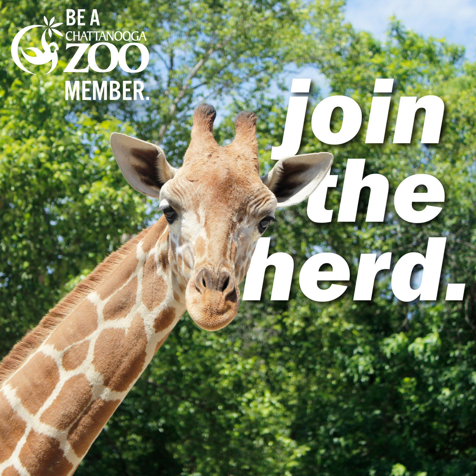 We're offering 15% off memberships in February