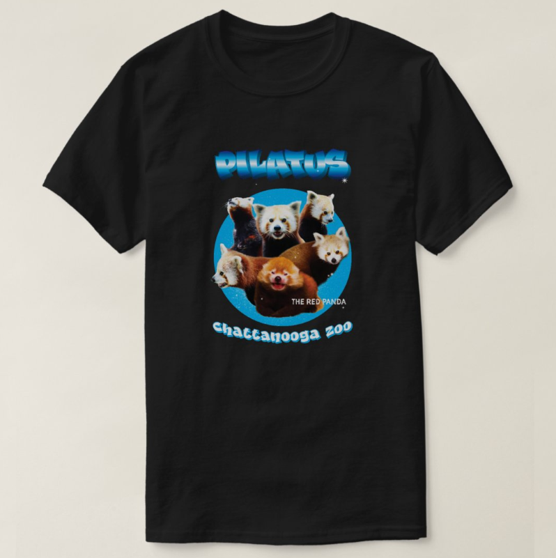 Pilatus the red panda is moving to Connecticut!