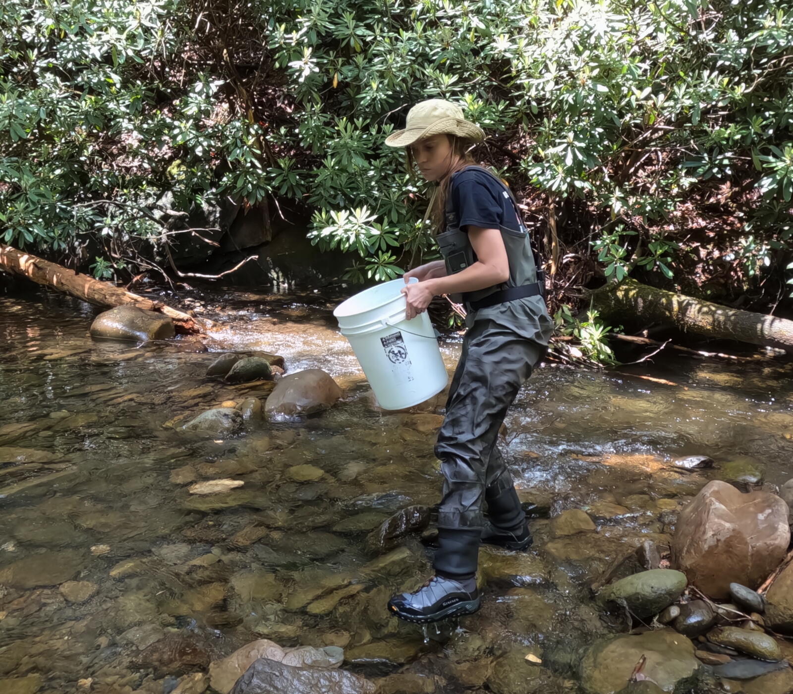 Chattanooga Zoo releases over 30 salamanders in local conservation program