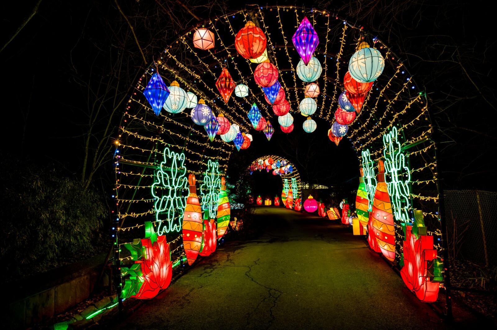 ccp 蓄光祭り05 バラン Blog | Chattanooga Zoo