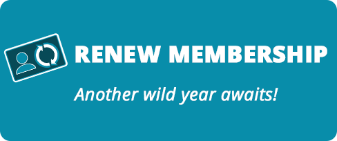 Renew A Membership. Another Wild year awaits!