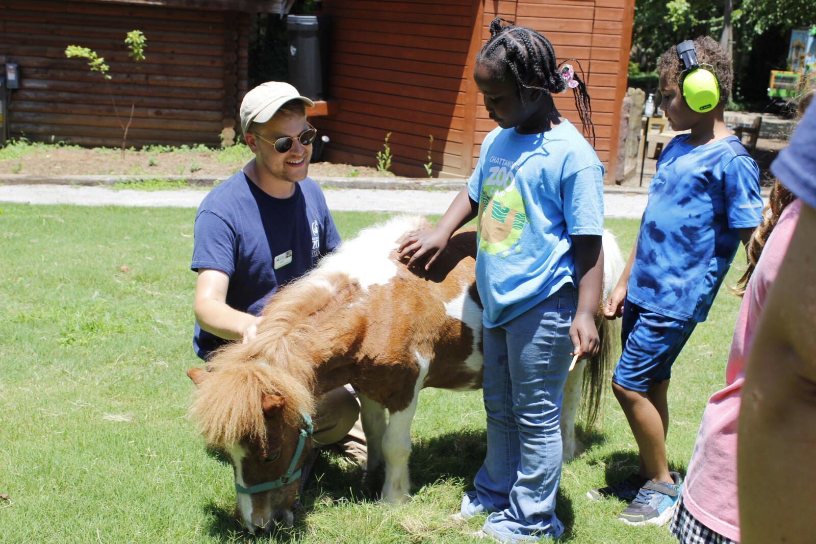 Zoo camp horse meet and greet