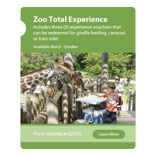 Zoo total experience graphic updated 2025