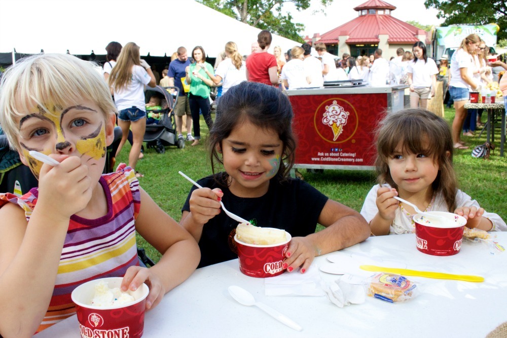 Ice Cream Safari
