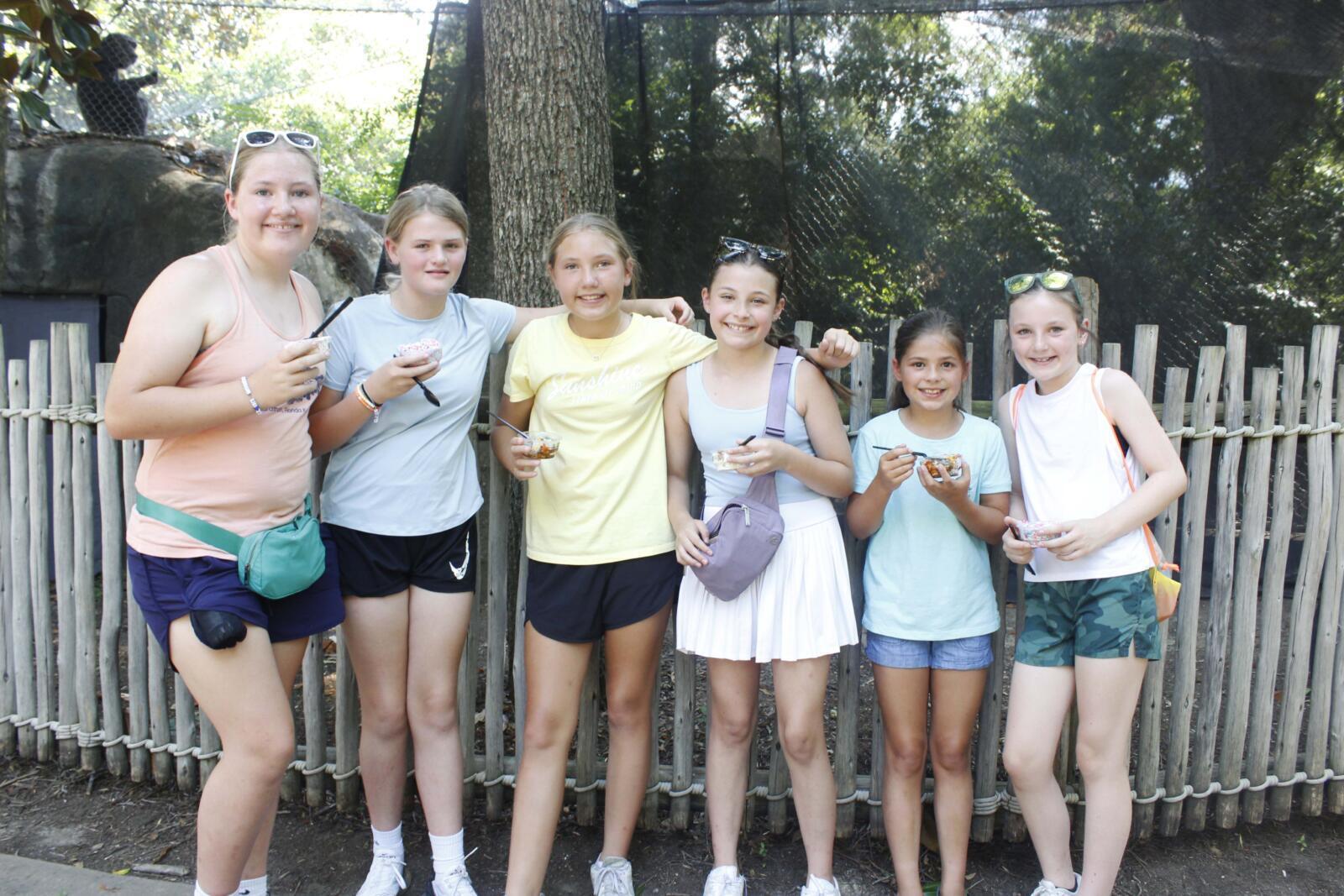 Ice Cream Safari