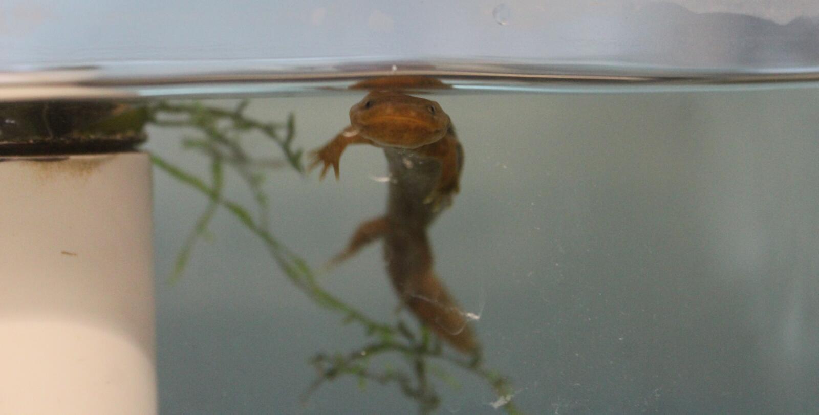 2026 Conservation Awareness Days