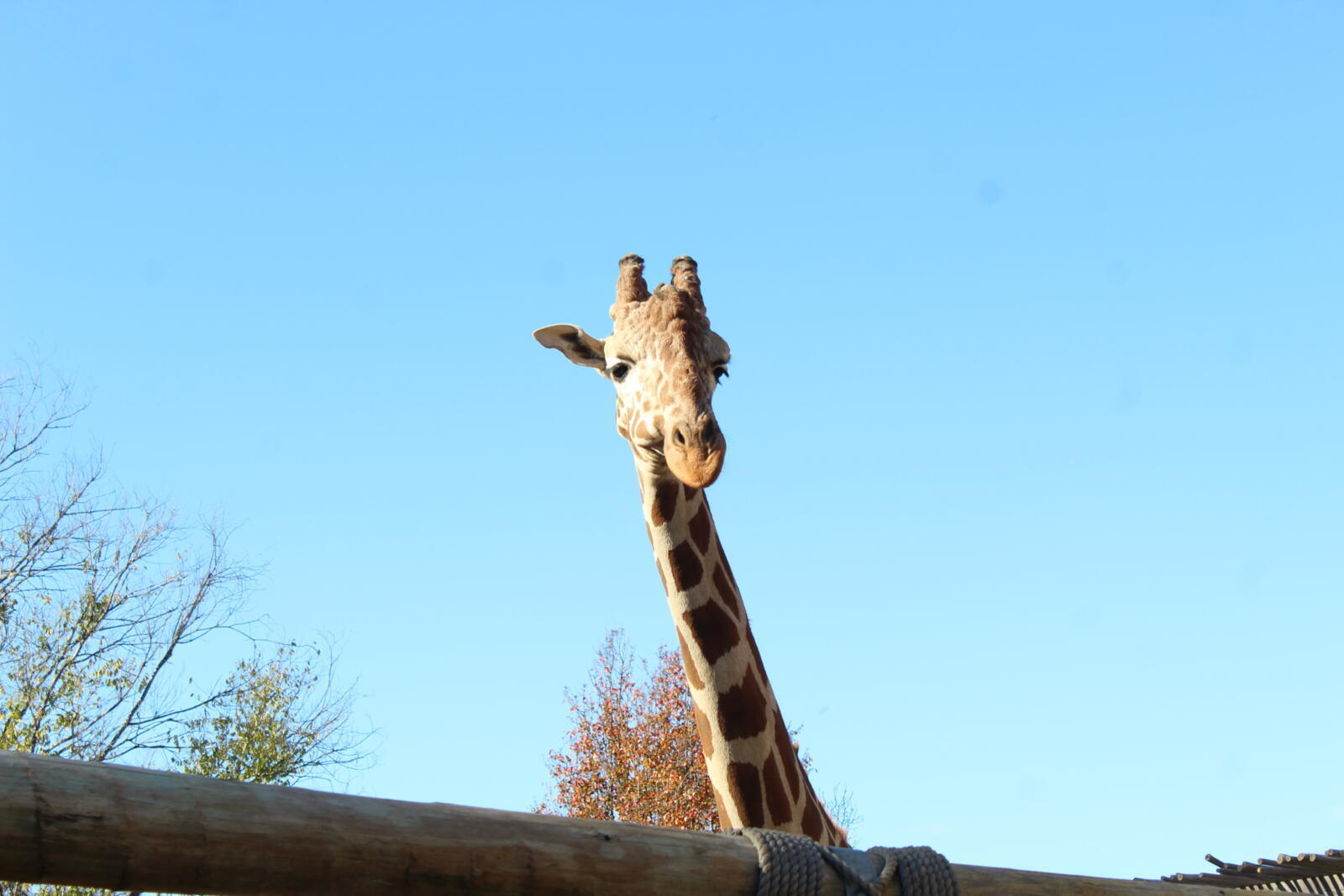 2026 Conservation Awareness Days