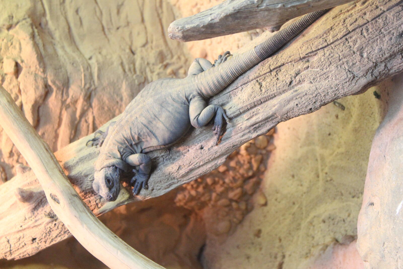 2026 Conservation Awareness Days