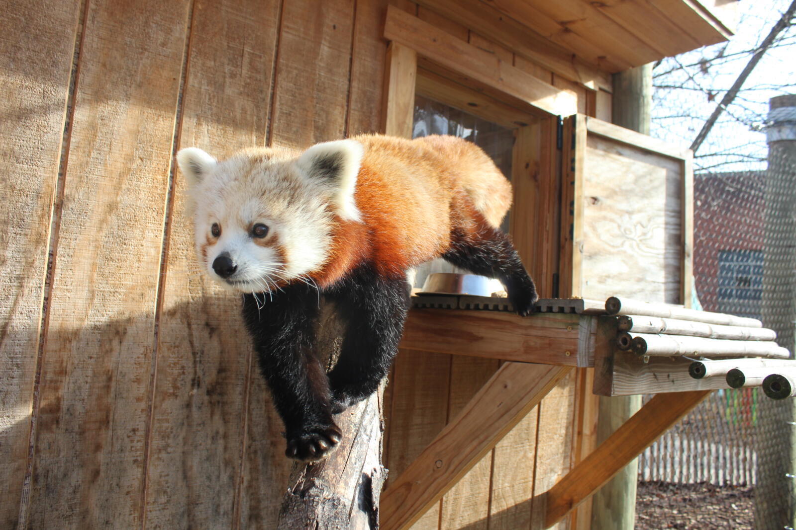 2026 Conservation Awareness Days