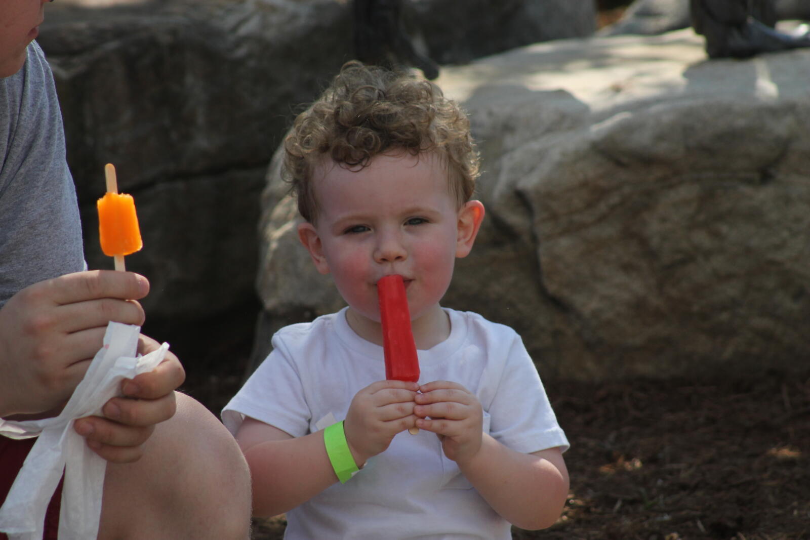 Ice Cream Safari