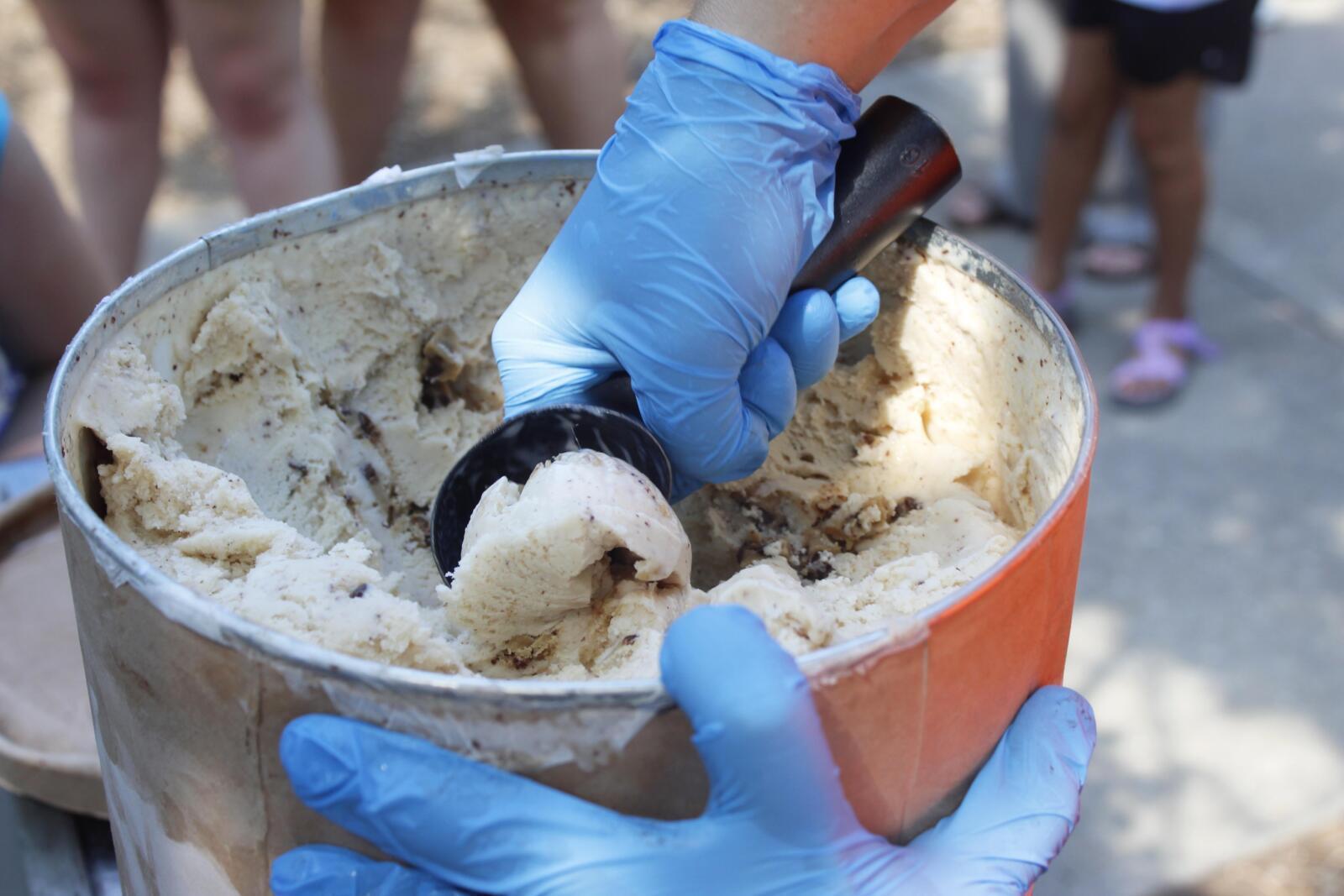 Ice Cream Safari