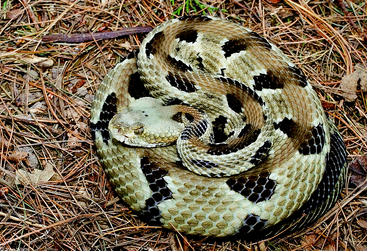 2026 Conservation Awareness Days