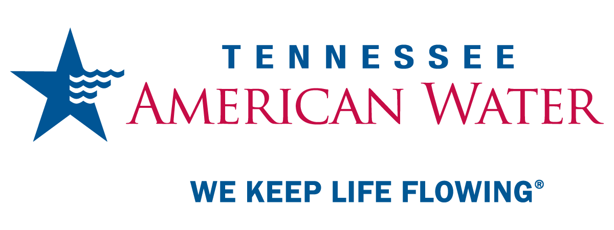 TN Horizontal Locked Logo PMS png