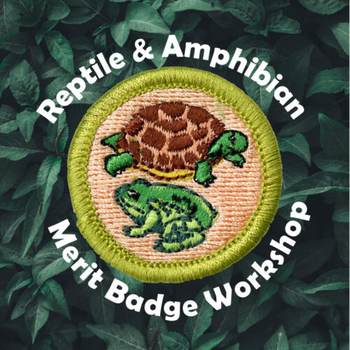 Zoo Events Chattanooga Zoo