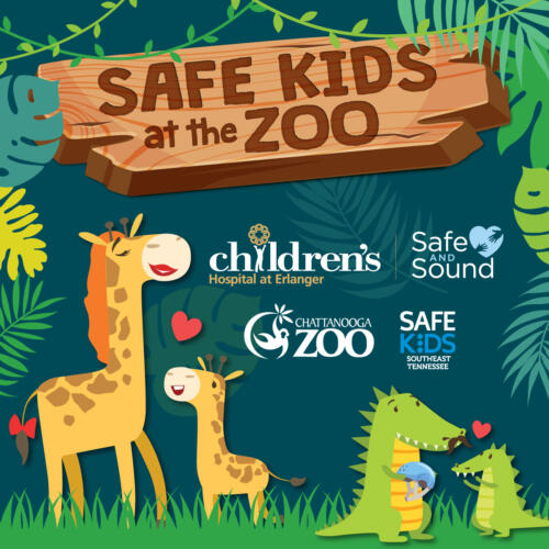 Safe Kids at the Zoo
