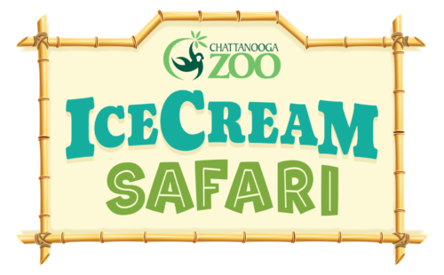 Ice Cream Safari