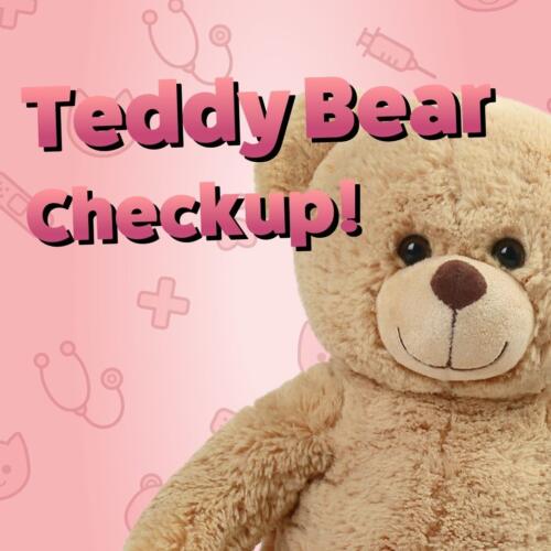Teddy Bear Check-Up