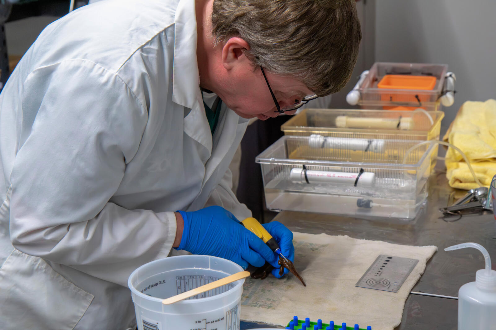 We've reintroduced 64 endangered salamanders to the wild!