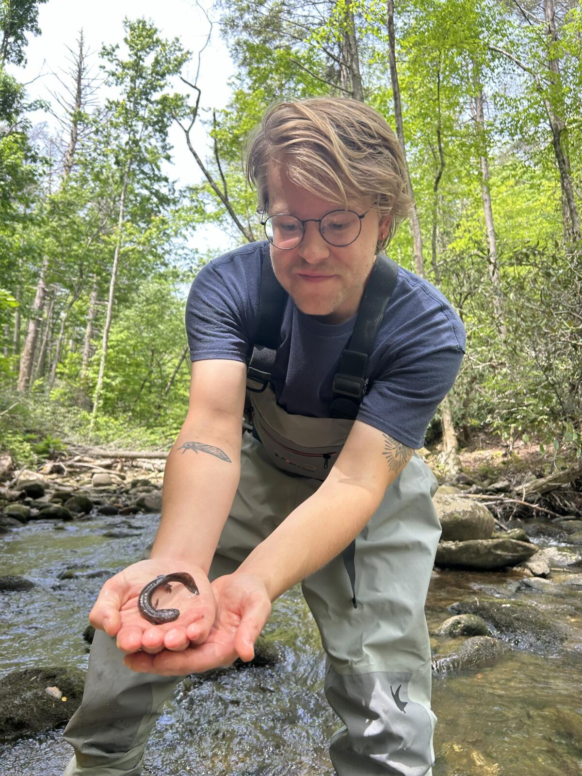 We've reintroduced 64 endangered salamanders to the wild!